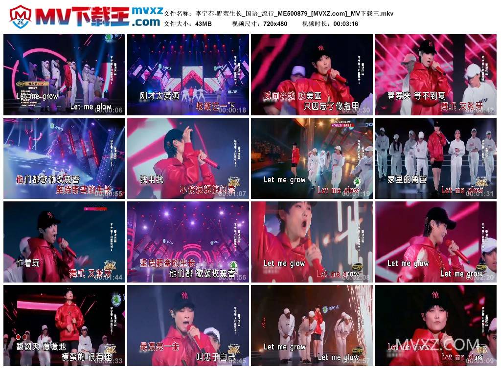 李宇春-野蛮生长_国语_流行_ME500879